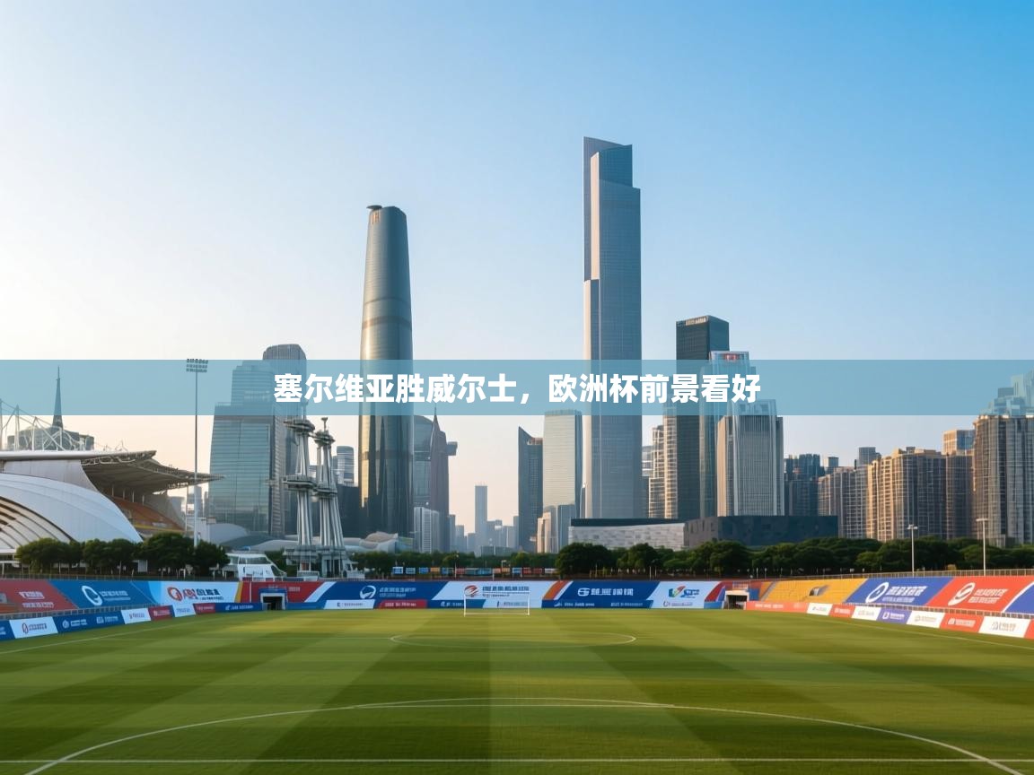 塞尔维亚胜威尔士，欧洲杯前景看好  第2张